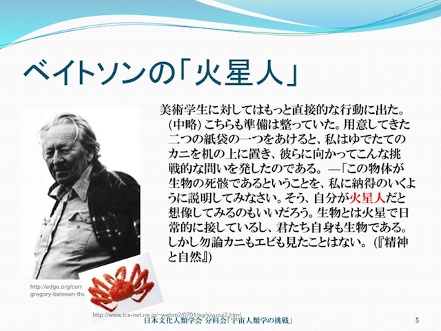 kimura20130609_05.jpg
